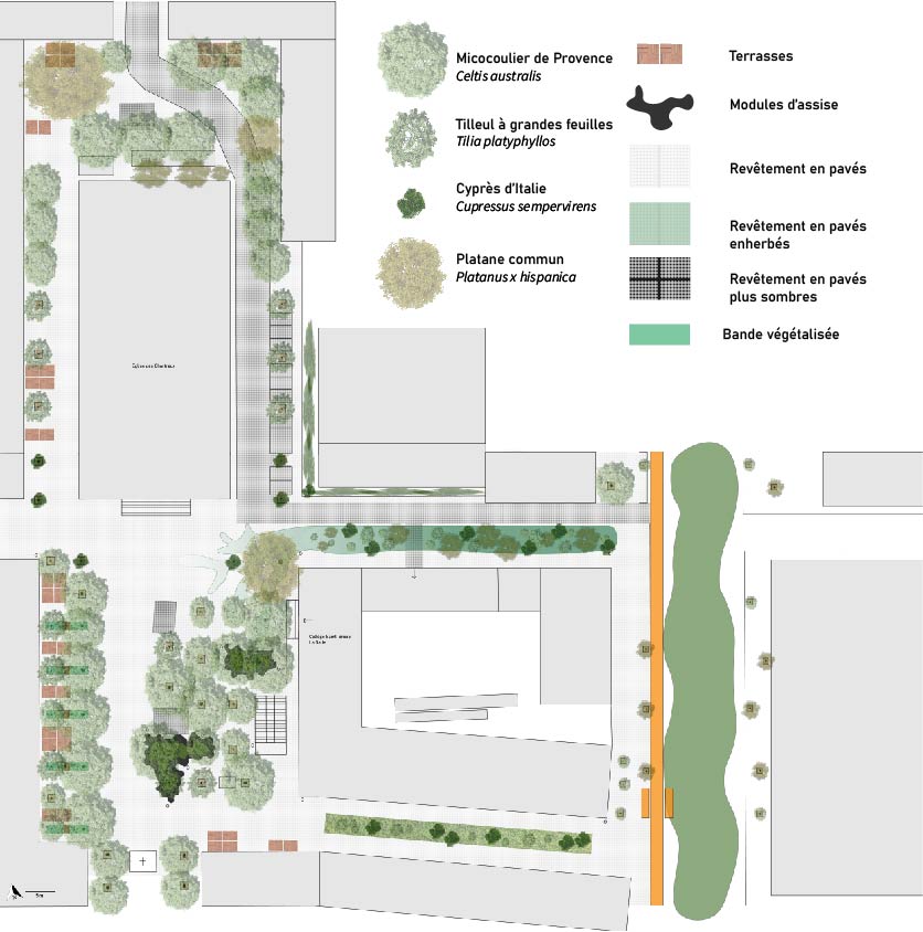 Créer un forum végétal sur la place des Chartreux - Atelier du 4/5 - Ville en Transitions