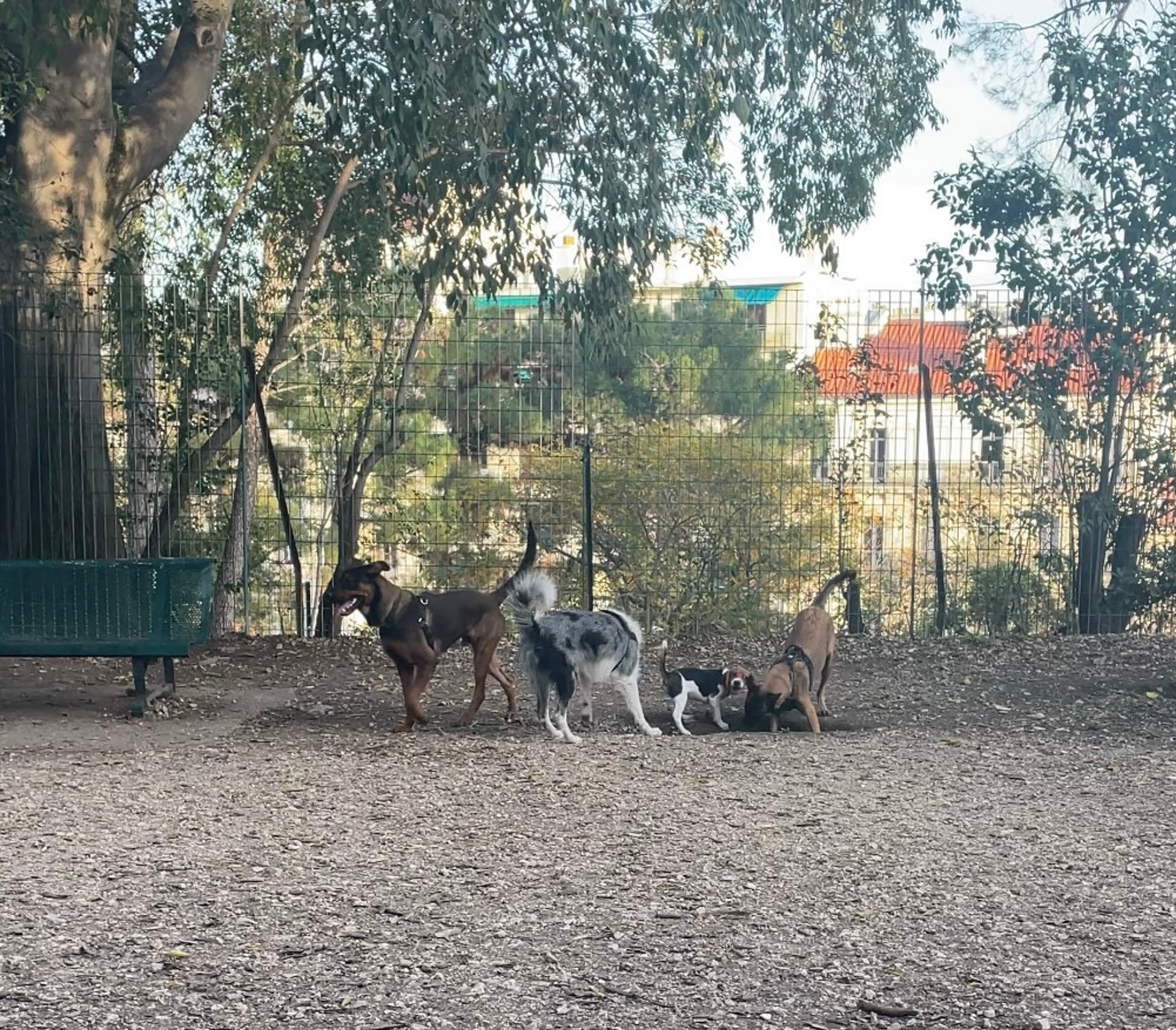 La place des chiens dans le parc Longchamp - Atelier du 4/5 - Ville en Transitions